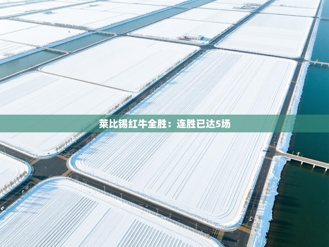 莱比锡红牛全胜：连胜已达5场  第2张