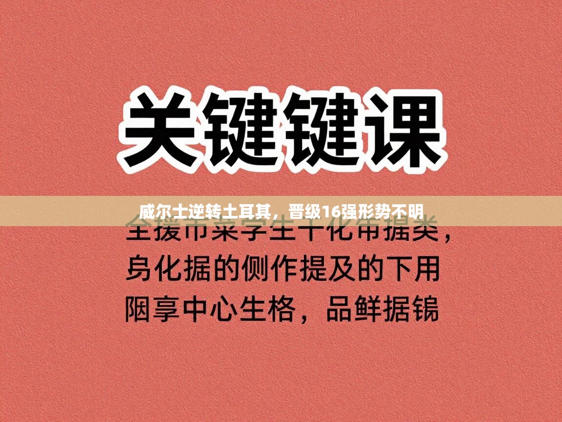 威尔士逆转土耳其，晋级16强形势不明  第2张