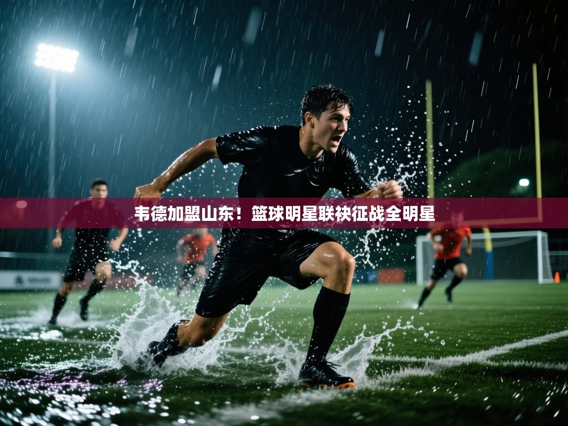 韦德加盟山东!篮球明星联袂征战全明星 第1张