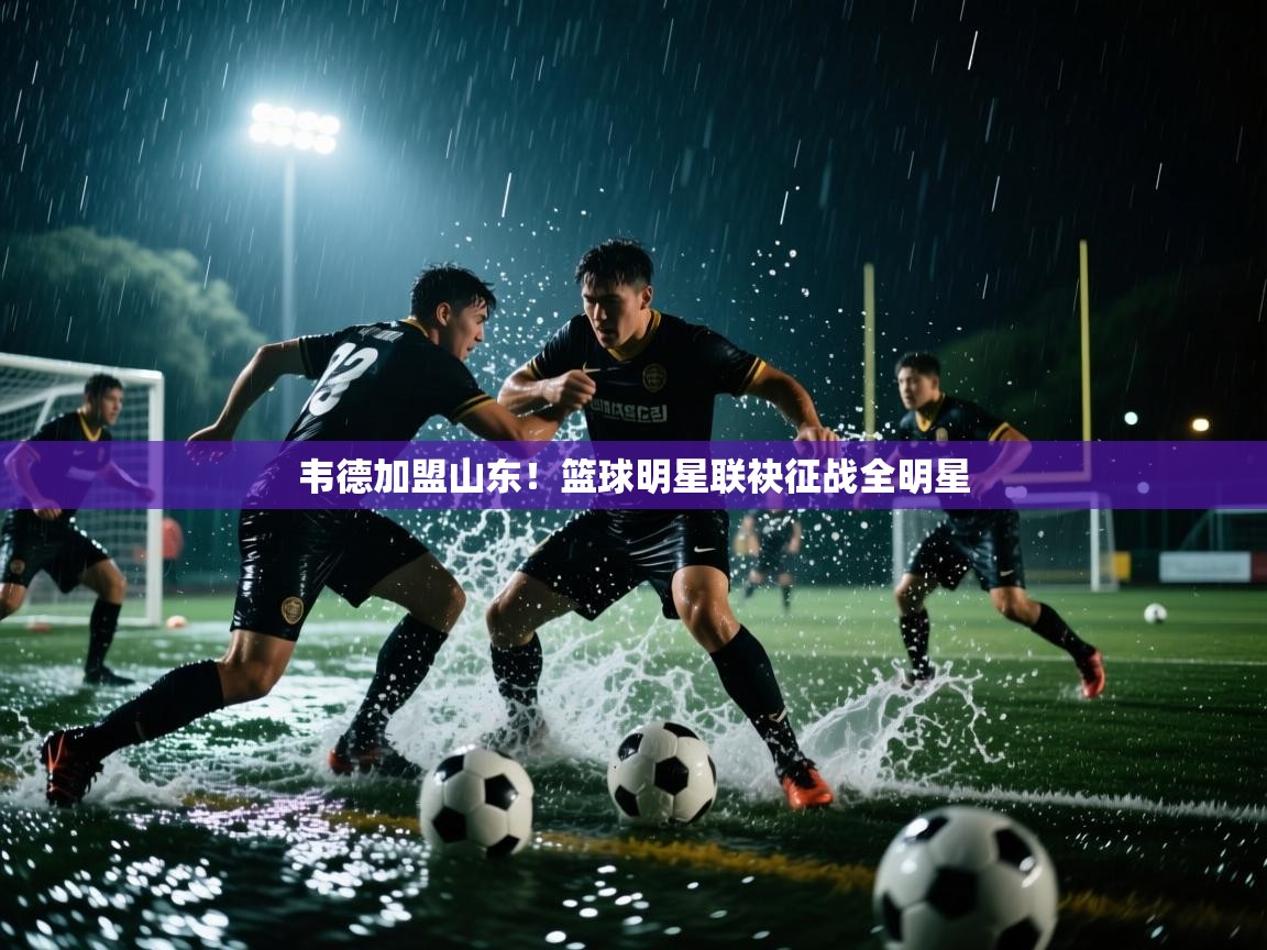 韦德加盟山东!篮球明星联袂征战全明星 第2张