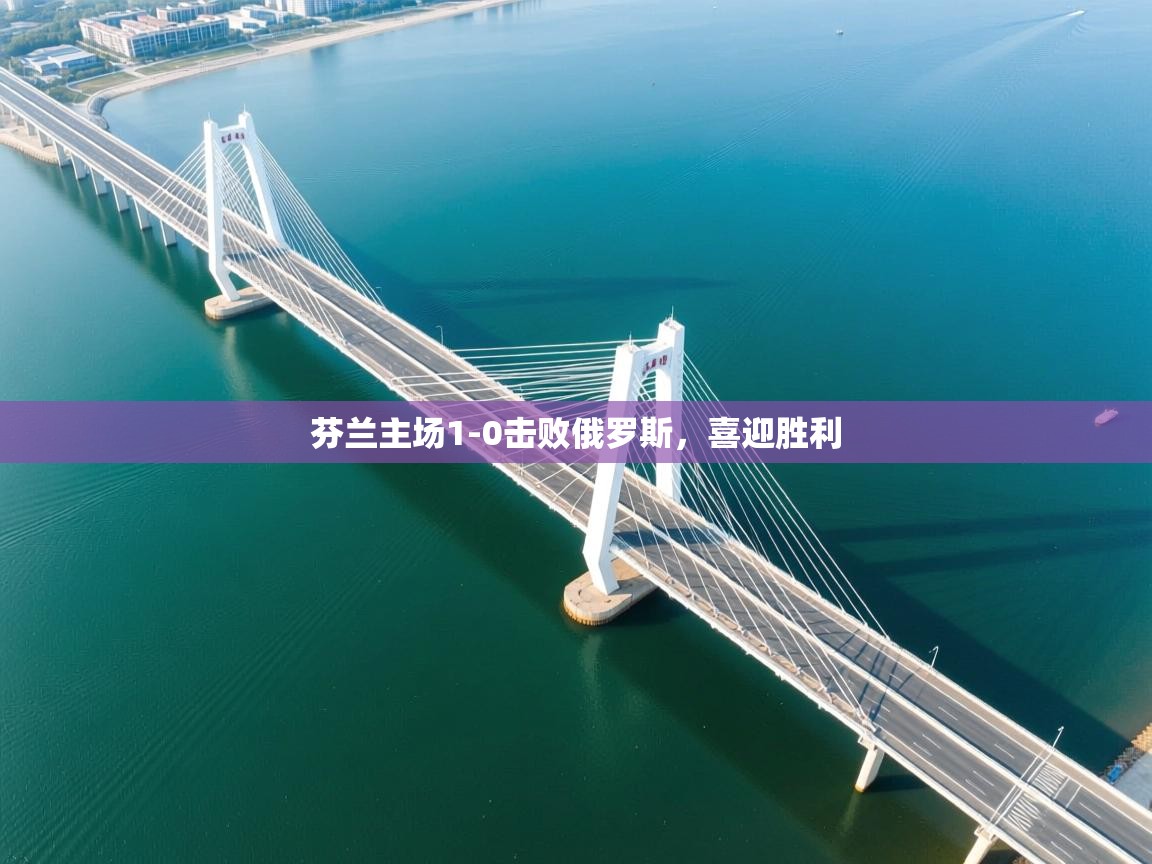 芬兰主场1-0击败俄罗斯，喜迎胜利  第1张