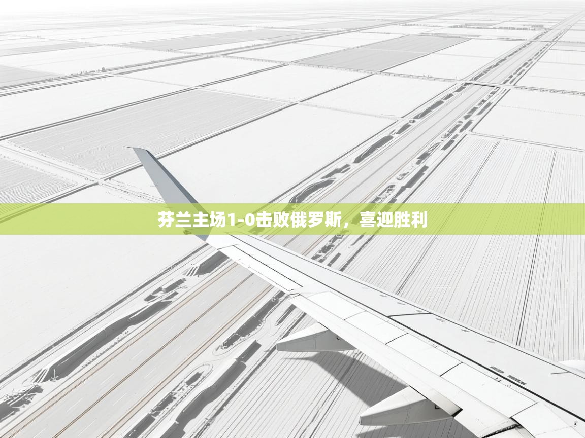 芬兰主场1-0击败俄罗斯，喜迎胜利  第2张