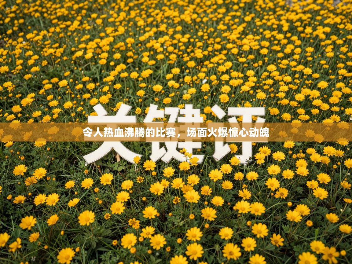 令人热血沸腾的比赛，场面火爆惊心动魄  第2张