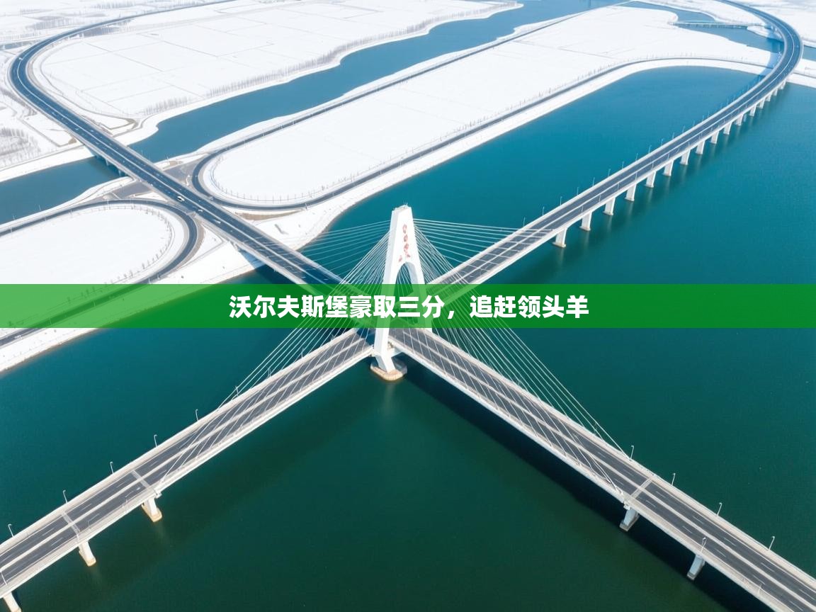 沃尔夫斯堡豪取三分，追赶领头羊  第2张