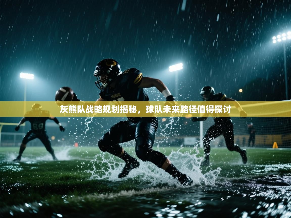 灰熊队战略规划揭秘，球队未来路径值得探讨  第1张