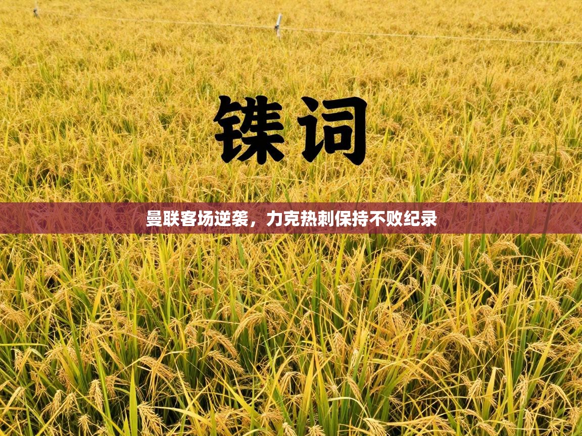 曼联客场逆袭,力克热刺保持不败纪录 第1张