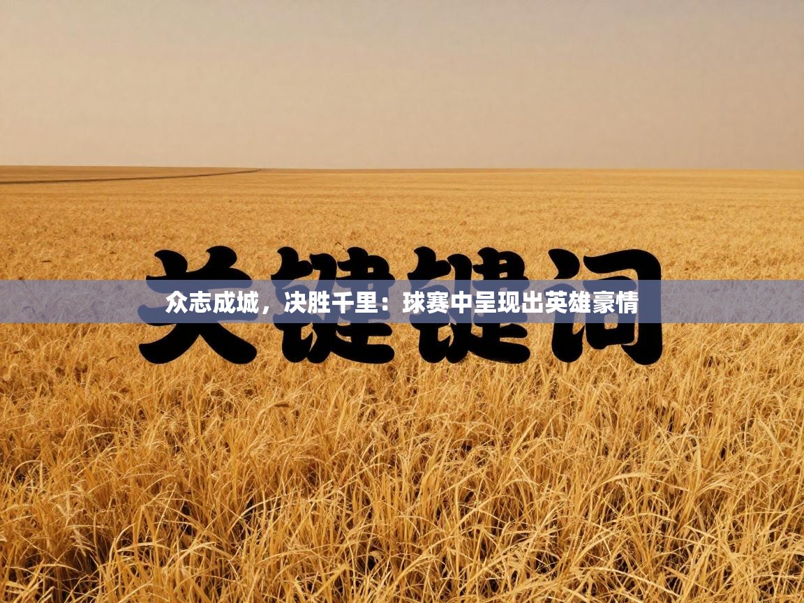 众志成城,决胜千里:球赛中呈现出英雄豪情 第2张