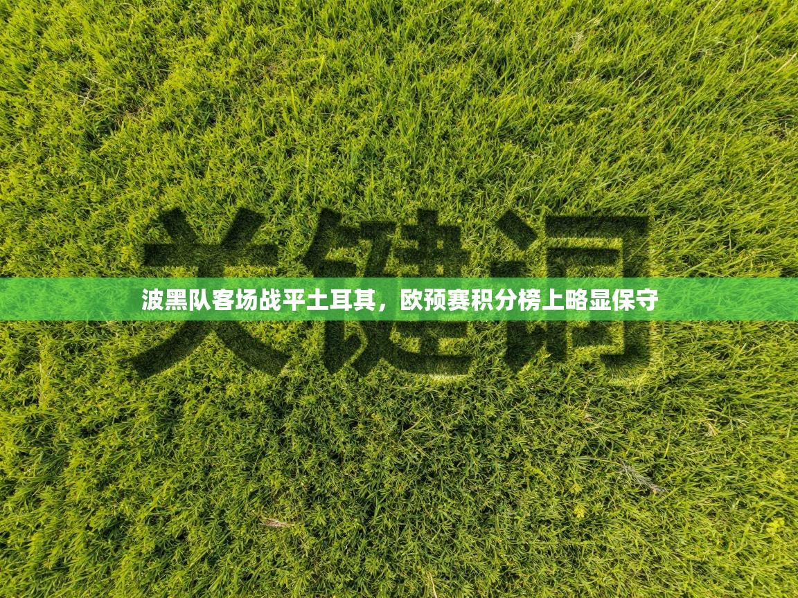 波黑队客场战平土耳其，欧预赛积分榜上略显保守  第1张