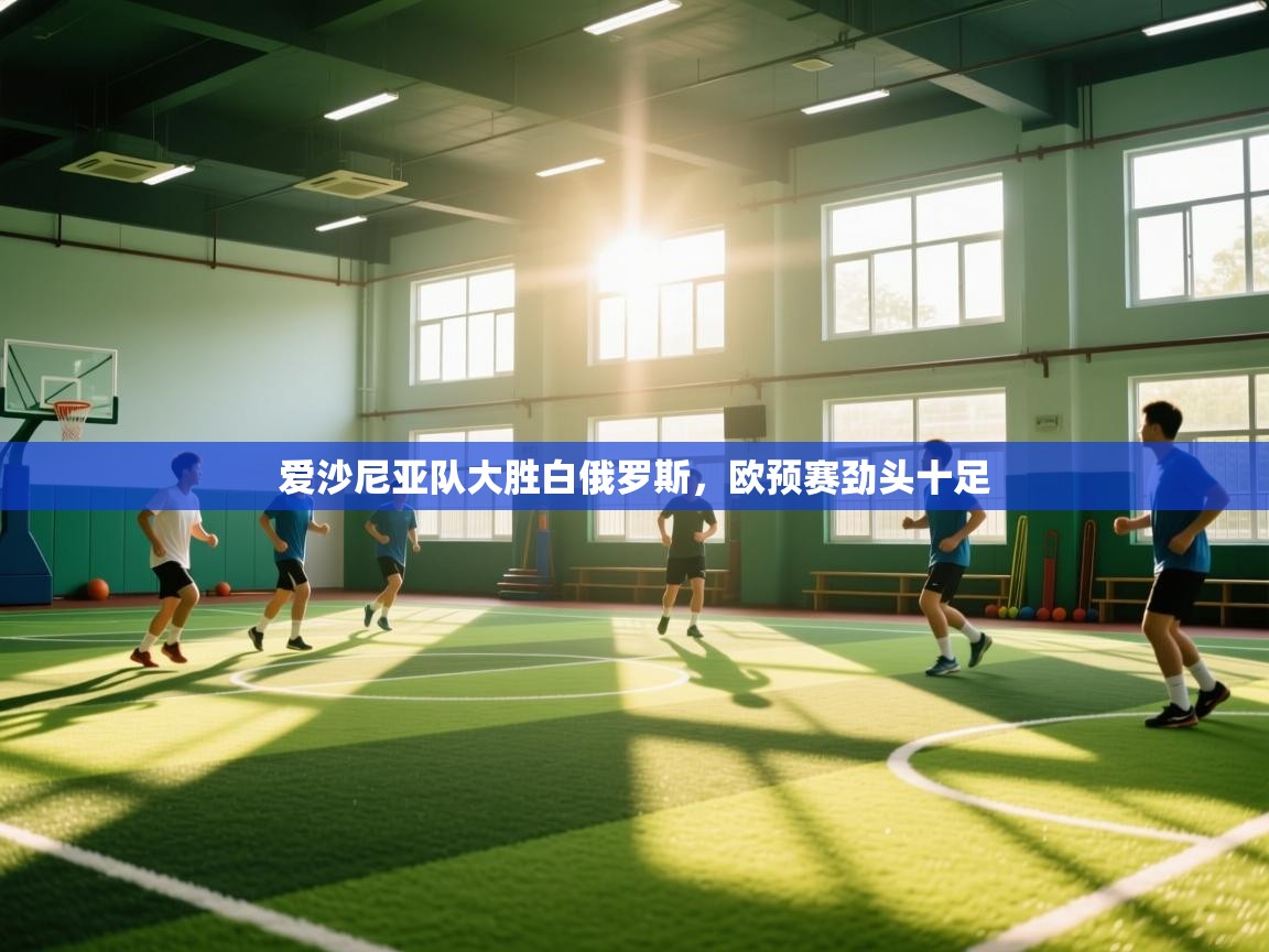 爱沙尼亚队大胜白俄罗斯，欧预赛劲头十足  第1张