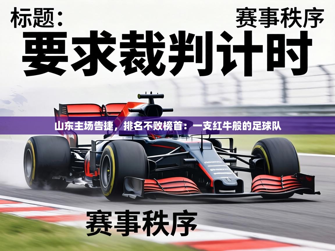 山东主场告捷，排名不败榜首：一支红牛般的足球队  第2张