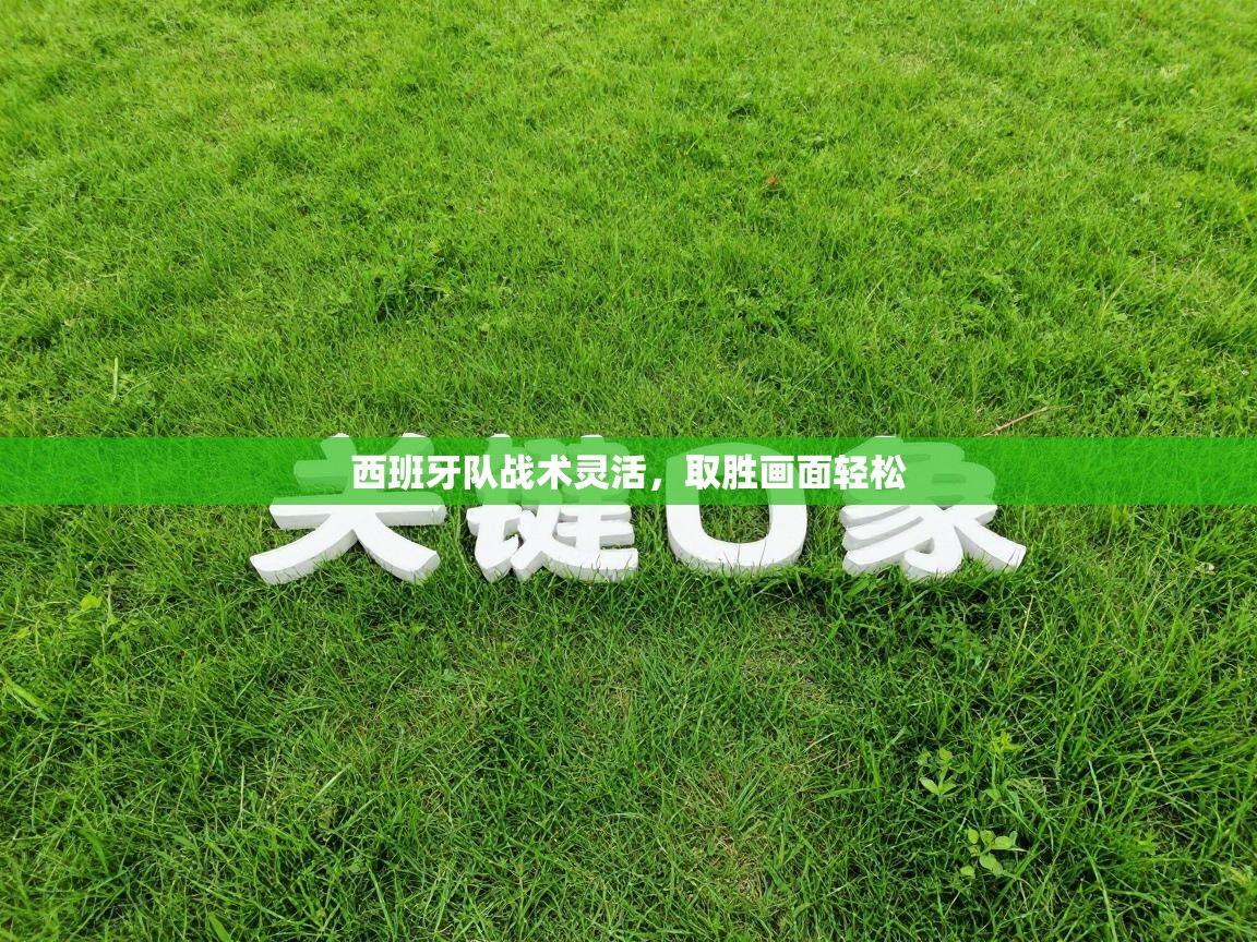 西班牙队战术灵活，取胜画面轻松  第1张